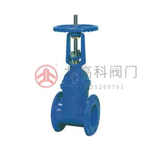 Z45X-10、Z45X-16 彈性座封閘閥